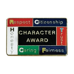 Character Award Pin