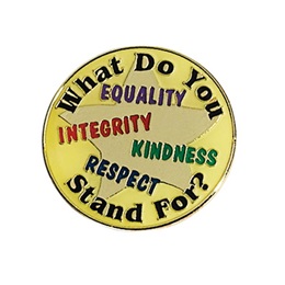 What Do You Stand For Award Pin