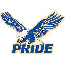 Eagle Award Pin