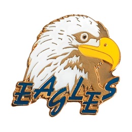 Eagles Award Pin