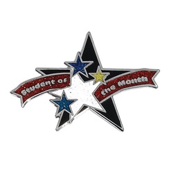 Student of the Month Award Pin - Glitter Stars