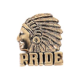 Indian Award Pin - Gold Pride