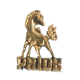 Mustang Award Pin - Gold Pride