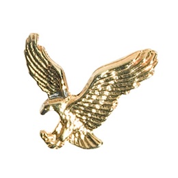 Eagle Award Pin - Gold Tone