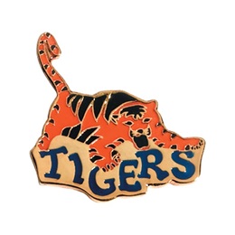 Tigers Award Pin
