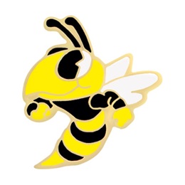 Hornet Award Pin - Black Shirt