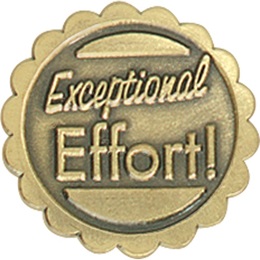 Exceptional Effort Award Pin