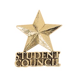 Student Council Award Pin - Gold Star