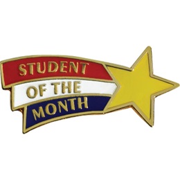 Student of the Month Award Pin - Shooting Star