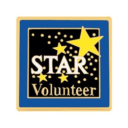 Volunteer Award Pin - Star Volunteer