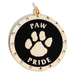 Paw Pride Magnet Medallion