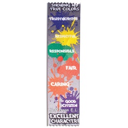 Full-color Custom Ribbon - Character Award