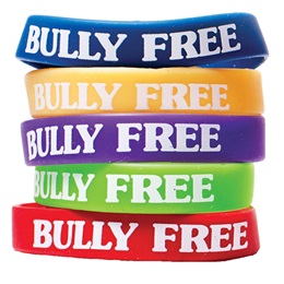 Bully Free Silicone Wristband