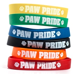 Paw Pride Wristband