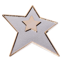 Star Student Award Pin - Gold and Silver Star