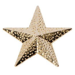 Star Student Award Pin - Gold Textured Star