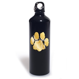 Pawsome Teacher Aluminum Bottle