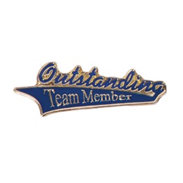 Appreciation Award Pin - Outstanding Team Member