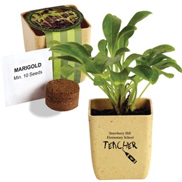 Custom Flower Pot Set With Marigold Seeds