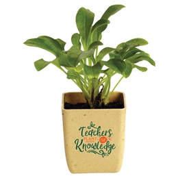 Appreciation Flower Pot - Teachers Plant Seeds of Knowledge