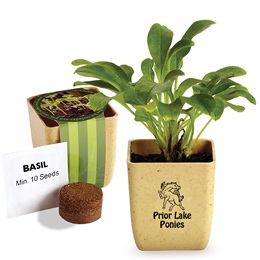 Custom Flower Pot Set With Basil Seeds