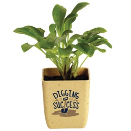 Appreciation Flower Pot - Digging in for Success