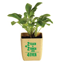 Appreciation Planter  - 2 Teach is 2 Touch Lives 4 Ever