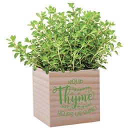 Appreciation Planter - Your Thyme Helps Us Shine