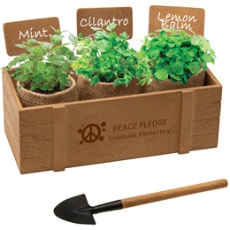Terzetto Blossom Kit