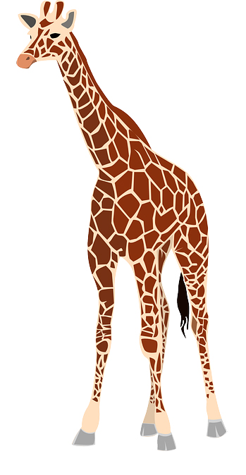 Giraffe_Zoo