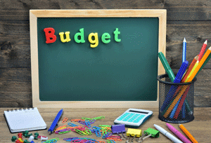 Elementary School Budget