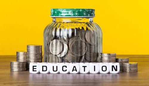 elementary school budget surplus